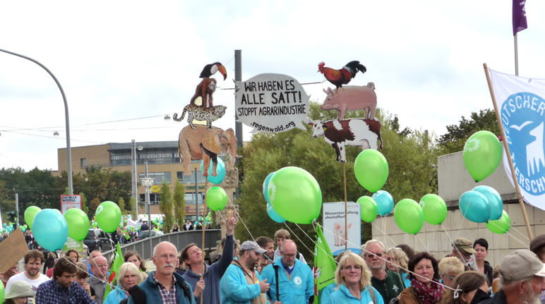 "Wir haben es satt"- Demo in Potsdam Foto: Angelica Transparente bei Domonstartion Rettet den Regenwald