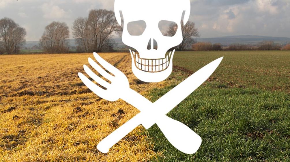 Glyphosat macht krank Ein Totenkopfprint mit Besteck-Knochen über den toten Feldern
