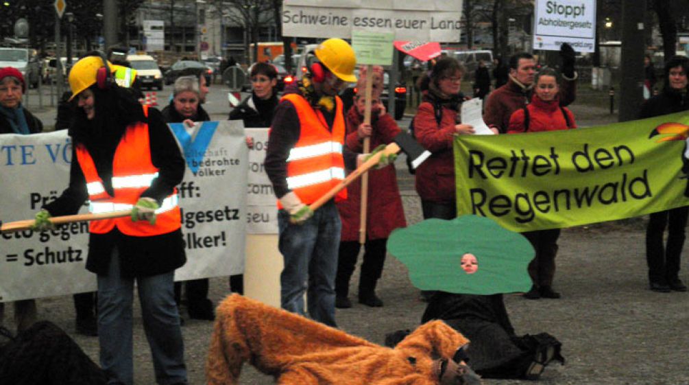 Neues Waldgesetz gefährdet Regenwald und Artenvielfalt