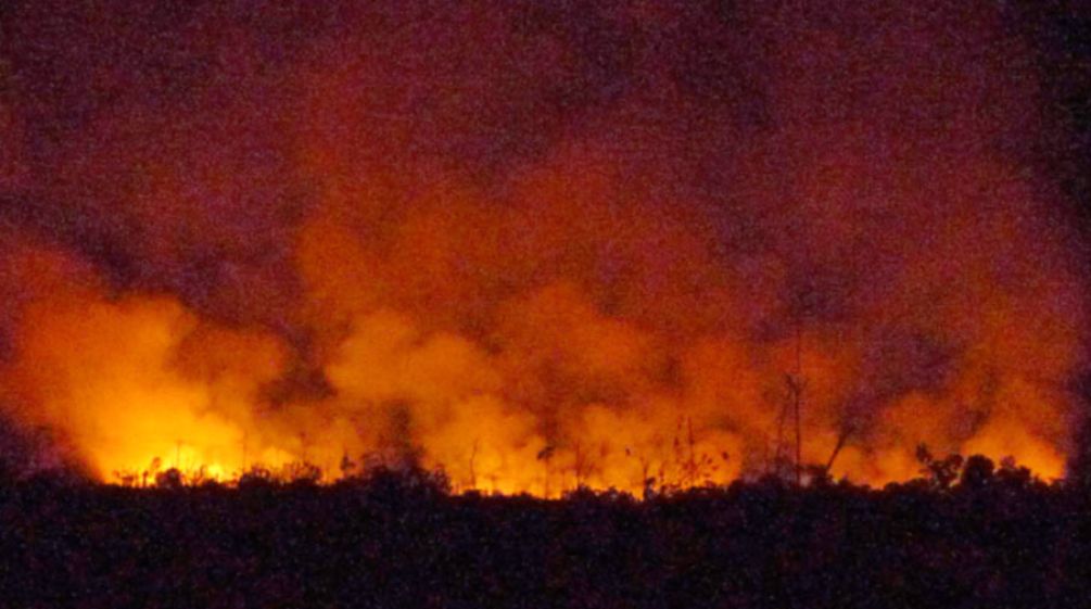 Der nachtschwarze Himmel über dem Regenwald ist vom Feuer rot-gelb erleuchtet