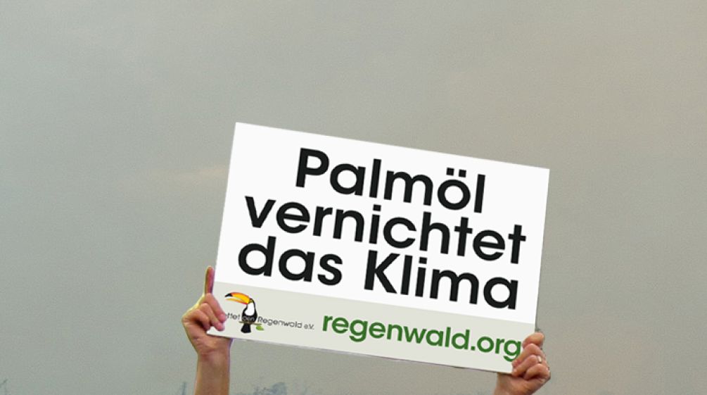 Banner von Rettet den Regenwald "Palmöl vernichtet das Klima"