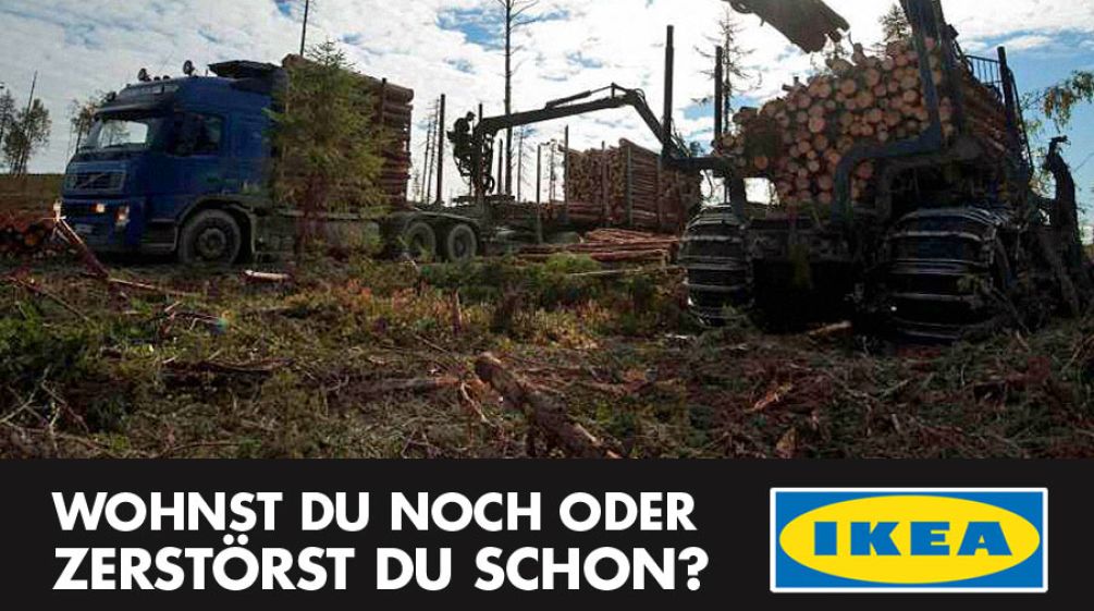 Dieses Bild von Ikeas Holzeinschlag in Karelien soll bald der Vergangenheit angehören Abholzungsmaschinen mit Baumstämmen neben IKEA-Logo