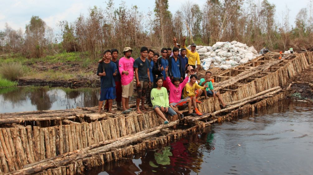 Umweltschützer bauen Holzblockaden, um das Abfließen des Wassers aus den Kanälen zu verhindern Umweltschützer stehen auf einem Damm, den sie aus Holz gebaut haben, um einen Kanal zu blockieren