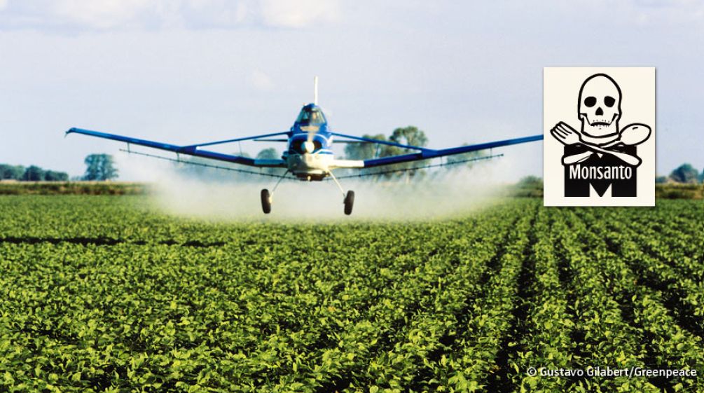 Flugzeug sprüht Gift über Sojaplantage