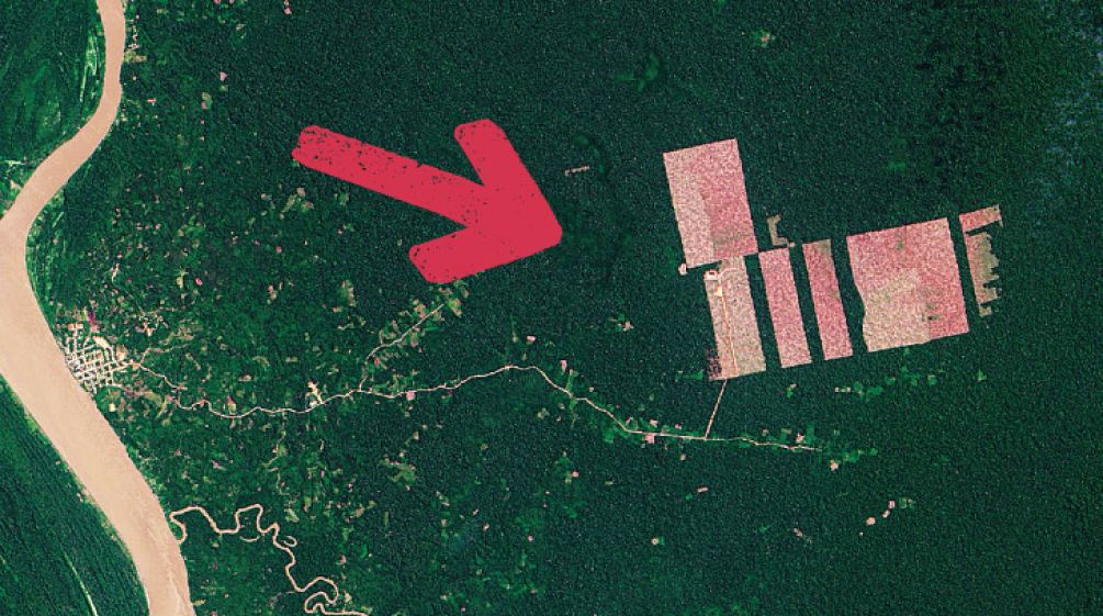 Die in Frage kommenden Regenwald-Grundstücke liegen zwischen dem Amazonas-Dorf Tamshiyacu (links) und den Rodungen (Pfeil rechts) Das Satelliten-Bild zeigt Tamshiyacu am Amazonas und die Rodungen mitten im Urwald