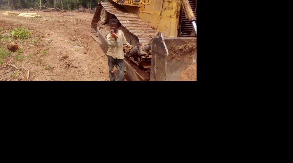 Ein kleiner Junge steht neben einem Bulldozer auf einer bereits gerodeten Fläche im Regenwald