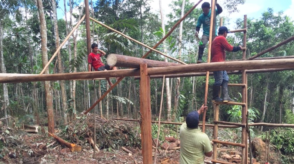 Arbeiter erstellen ein Gerüst für den Bau eines Hauses im Regenwald
