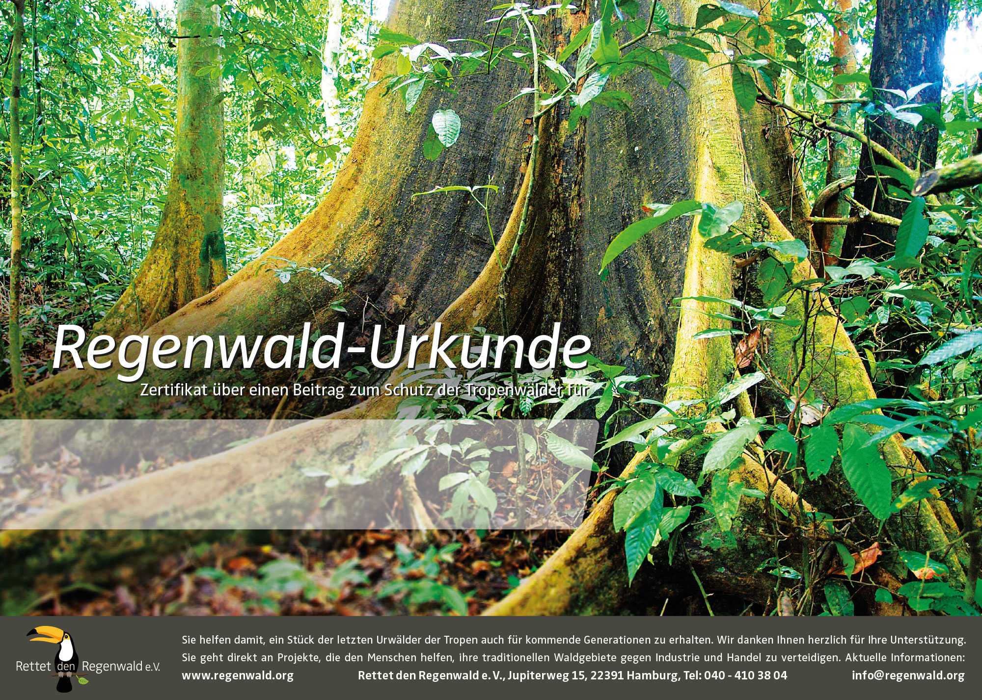 RegenwaldUrkunden Machen Sie dem Regenwald ein Geschenk Rettet den