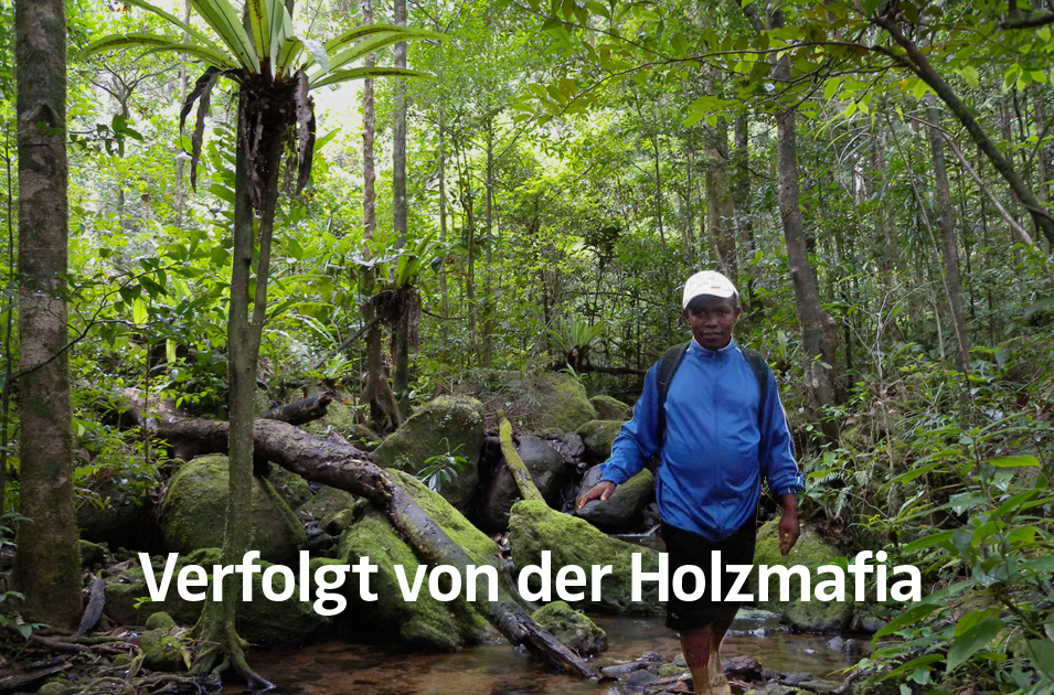 Bitte unterschreibt für den Waldschützer Clovis! Bitte unterschreibt für den Waldschützer Clovis!