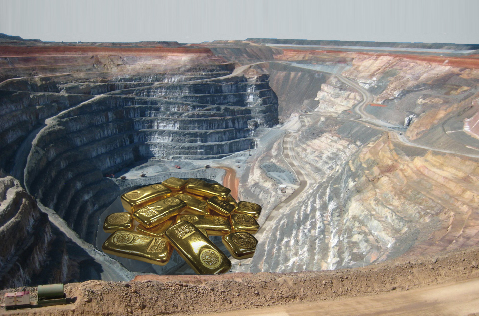 Französisch-Guayana: Keine Goldmine in den Regenwald! Französisch-Guayana: Keine Goldmine in den Regenwald!