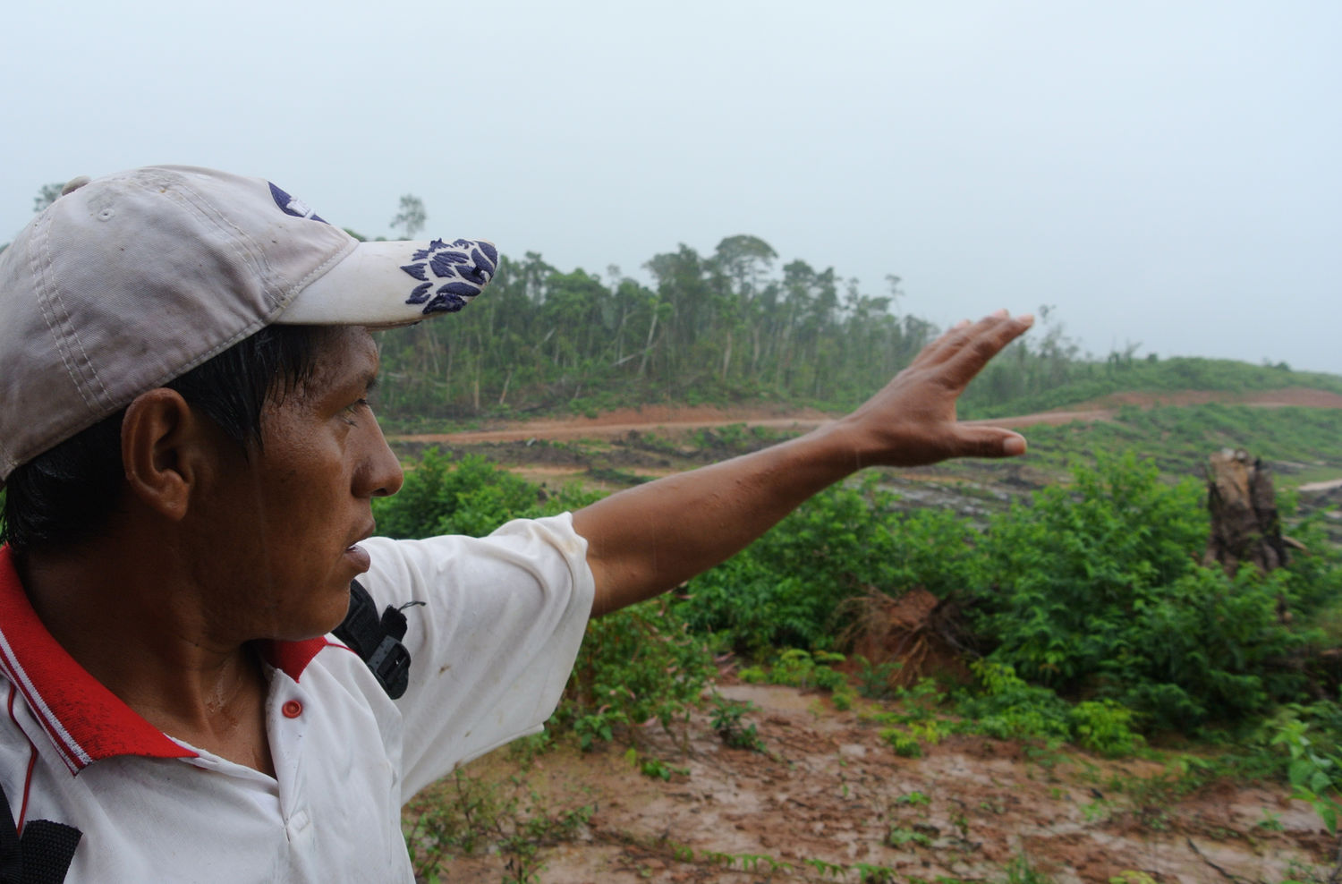 Plantagen raus aus dem Regenwald !
