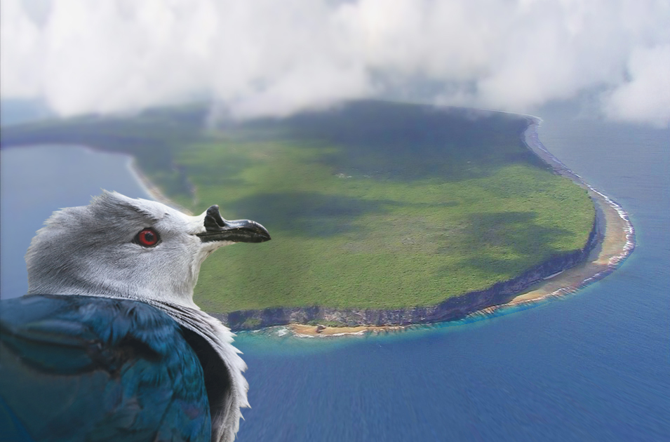 Jetzt auch das Makatea-Atoll im Pazifik retten Jetzt auch das Makatea-Atoll im Pazifik retten