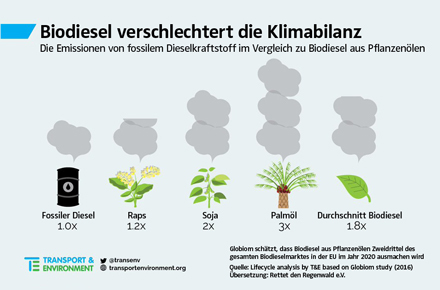 Palmölverbrauch in der EU