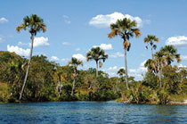 Landschaft am Sao Francisco-Fluss