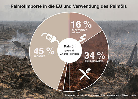 Palmölverbrauch in der EU