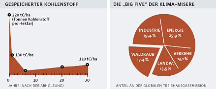 Links:Holzeinschlag im Regenwald setzt massiv und über viele Jahre Kohlenstoff frei, während die Bindung sehr langsam über Jahrzehnte bis Jahrhunderte verläuft (Quelle: Putz et al. 2008, mod.) Rechts:Die weltweite Urwaldzerstörung rangiert auf Platz 3 der größten Klimaeinheizer. Nicht enthalten: 10,7% aus verschiedenen kleineren Quellen. (Quelle: Betts et al. 2008, modifiziert)