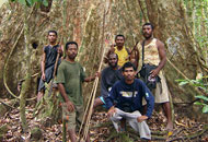Die Umweltgruppen Neuguineas verteidigen die Wälder gegen Holzfäller