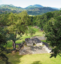 Regenwald der Maya / Foto: Robert Stachurski