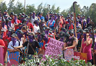 Proteste am Weltfrauentag gegen die Grüne Wüste in Brasilien.