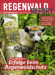 Cover Regenwald Report 04/2011