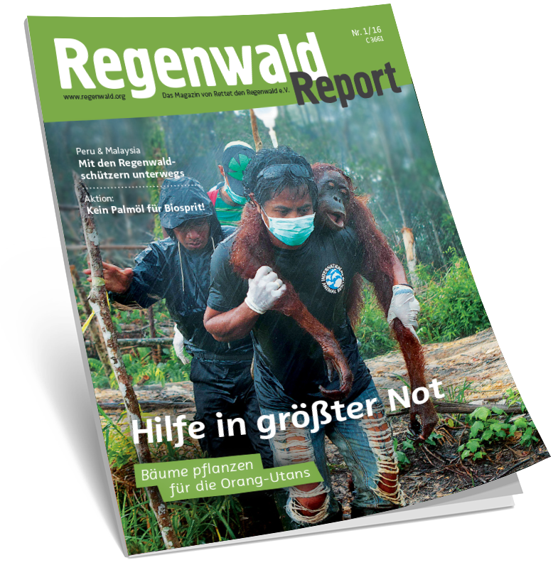 Cover Regenwald Report 01/2016