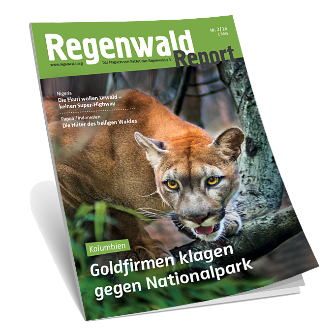Cover Regenwald Report 02/2016
