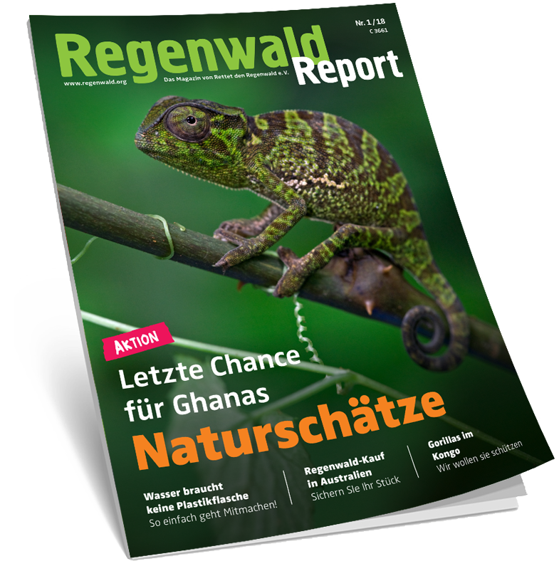 Cover Regenwald Report 01/2018