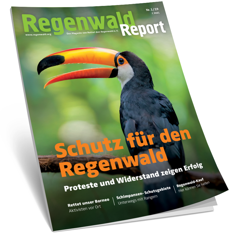Cover Regenwald Report 01/2019