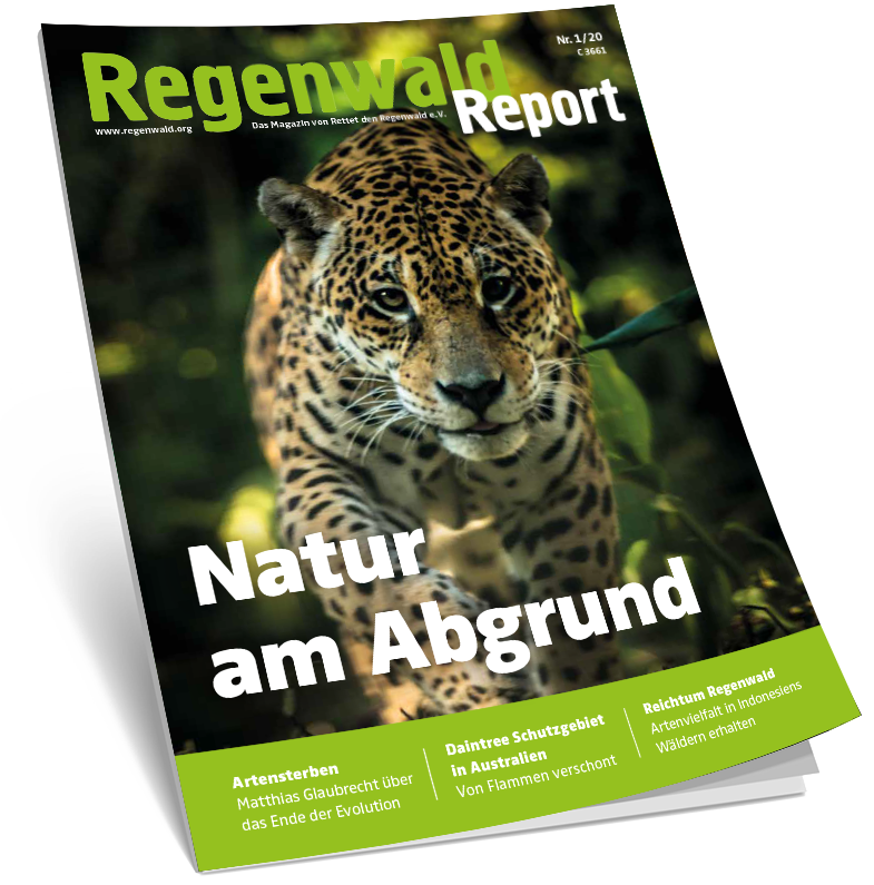 Cover Regenwald Report 01/2020