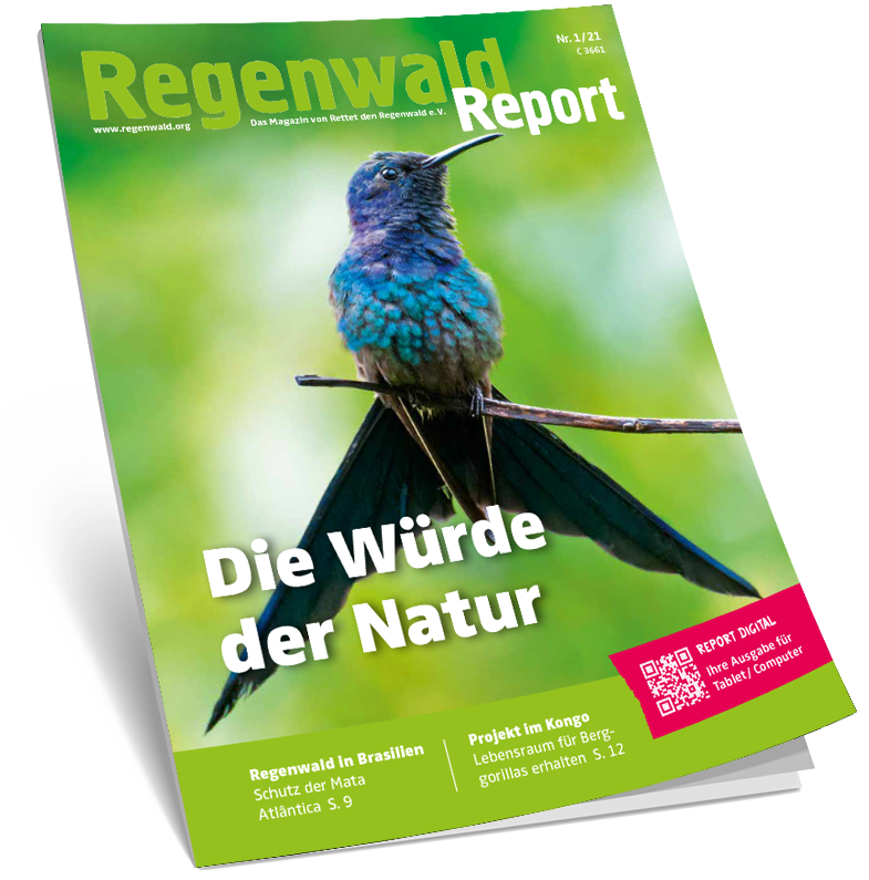 Cover Regenwald Report 01/2021