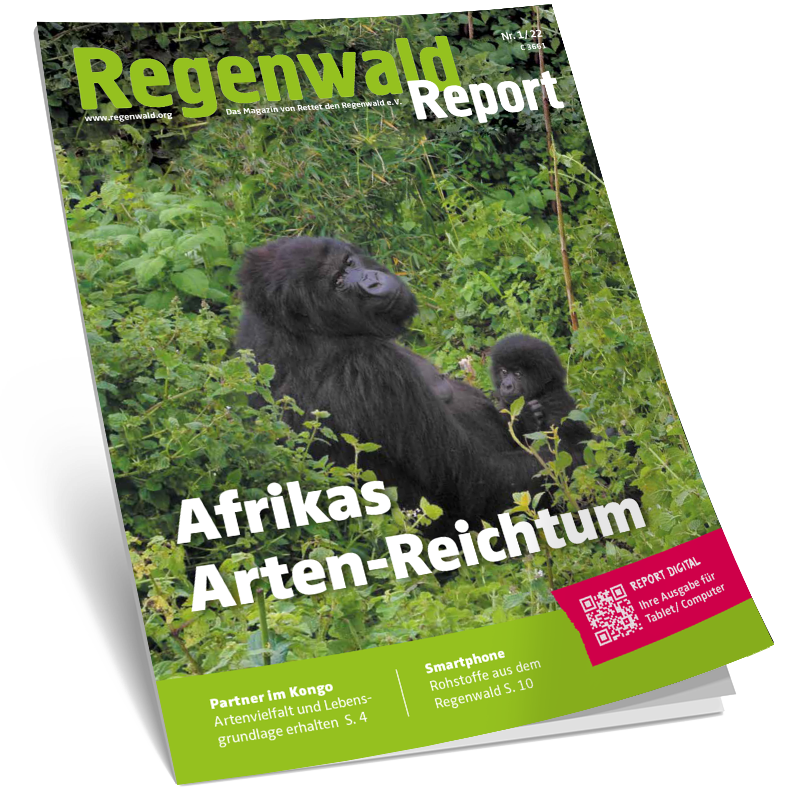 Cover Regenwald Report 01/2022