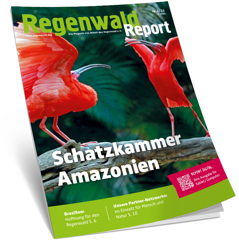 Cover Regenwald Report 01/2023