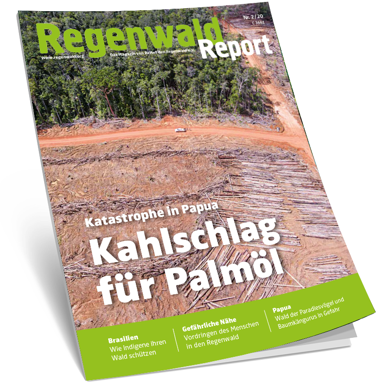Cover Regenwald Report 02/2020