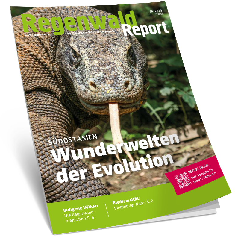 Cover Regenwald Report 02/2023