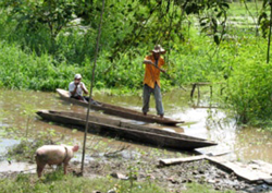 Die Flussauen sind wertvolle Biotope und ernähren Menschen und Tiere