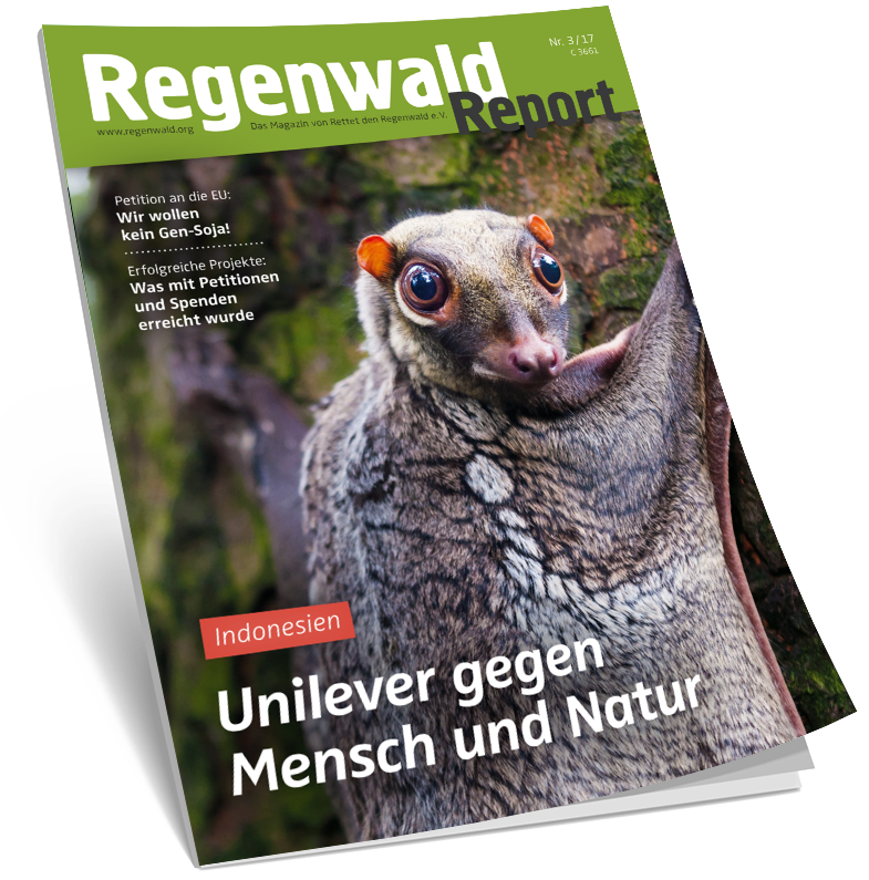 Cover Regenwald Report 03/2017
