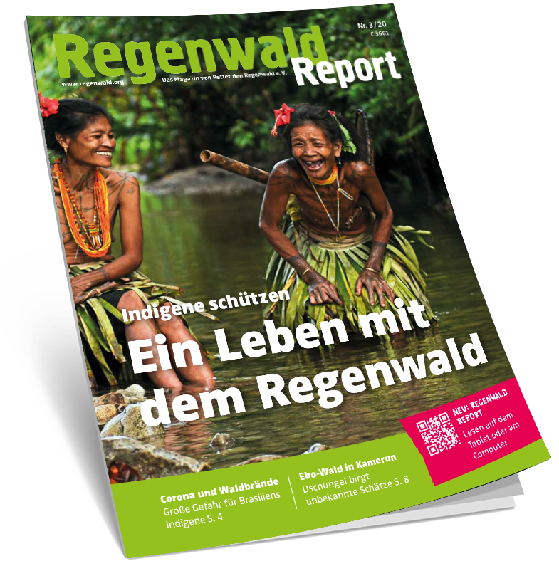 Cover Regenwald Report 03/2020