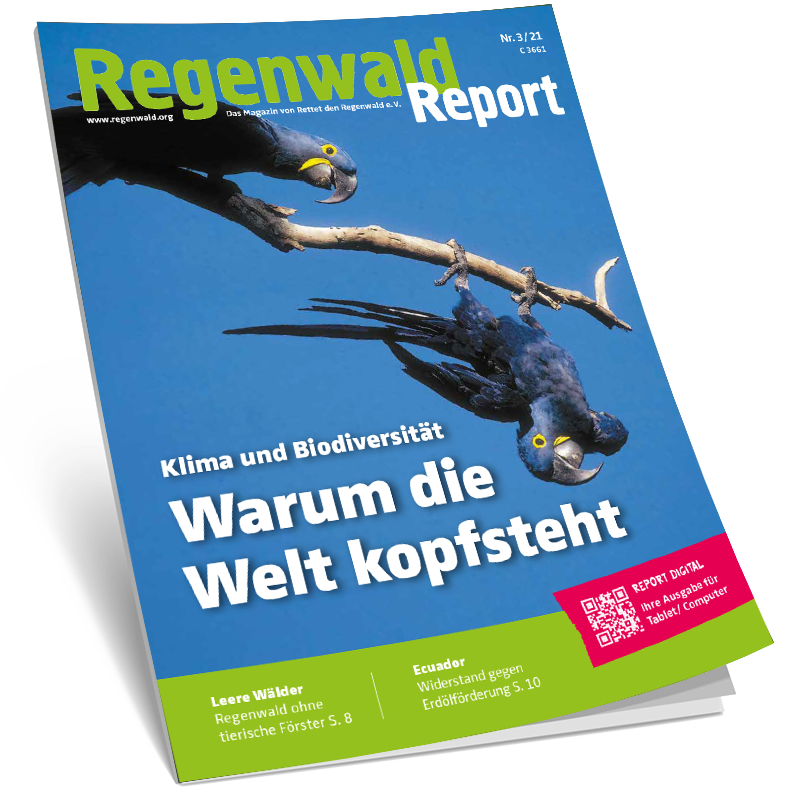 Cover Regenwald Report 03/2021