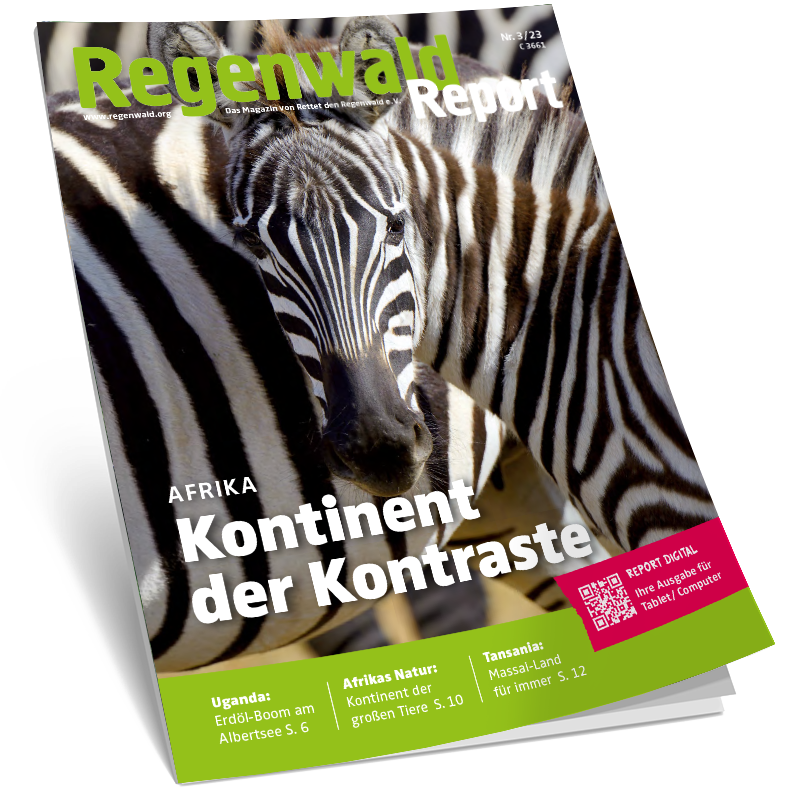 Cover Regenwald Report 03/2023