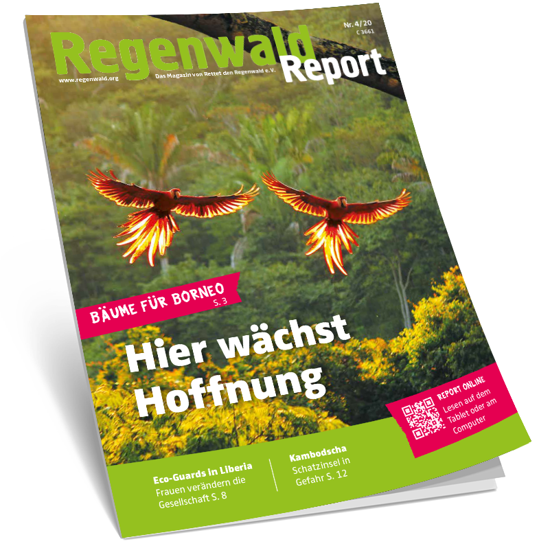 Cover Regenwald Report 04/2020