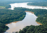 Im Amazonas-Tiefland leben zwischen 5 und 10 Mio. Tierarten