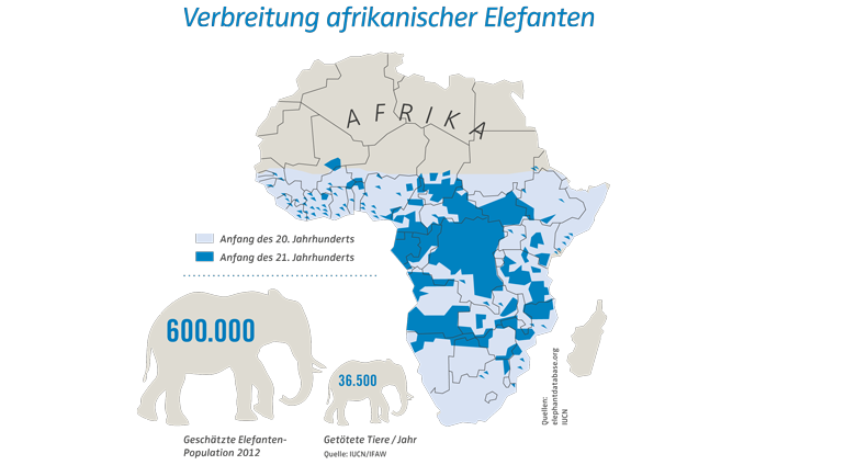 Elefanten – Abschied für immer? Karte