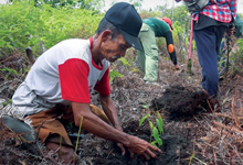 Wir pflanzen Bäume für die Orang-Utans