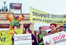 Regenwald-News Demo Berlin