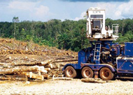 Vattenfalls Biomasse-Einschlag in Liberia