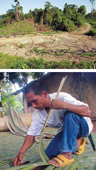 Aus Bambus werden die „Sawali“ geflochten, Wände für die Häuser. Auch dieses Handwerk stirbt aus, wenn die Regenwälder weiter für Plantagen gerodet werden. So wie in Quezon (oben)