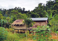 Sulawesi Bildungszentrum Sulawesi: Das neue Bildungszentrum ist für das Lauje-Volk eine große Hilfe