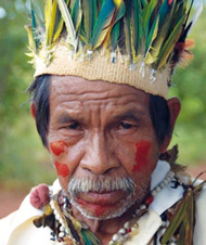 Kämpft für sein Land: Guarani-Häuptling, Brasilien/<a href=