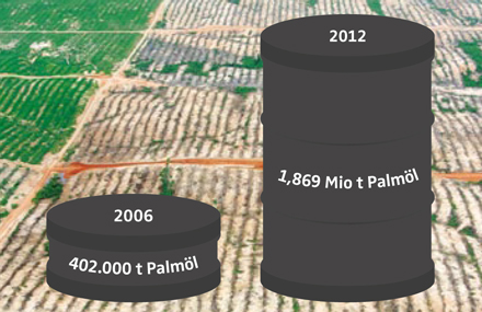 EU-Biodiesel stoppen Grafik Palmöl Konsum