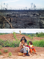 In San Pedro, Paraguay, wurden die Wälder großflächig abgebrannt, um 
Platz zu schaffen für riesige Soja-Plantagen. Polizei und Soja-Farmer 
haben die Familien von ihrem Land vertrieben und hilflos zurückgelassen